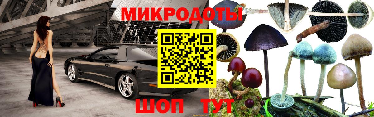 Галлюциногенные грибы мухоморы Сосновоборск